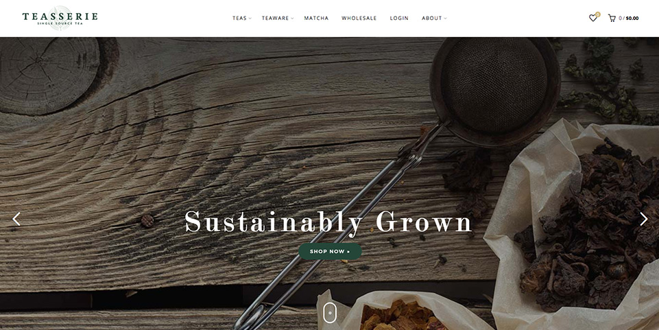 portfolio webdesign